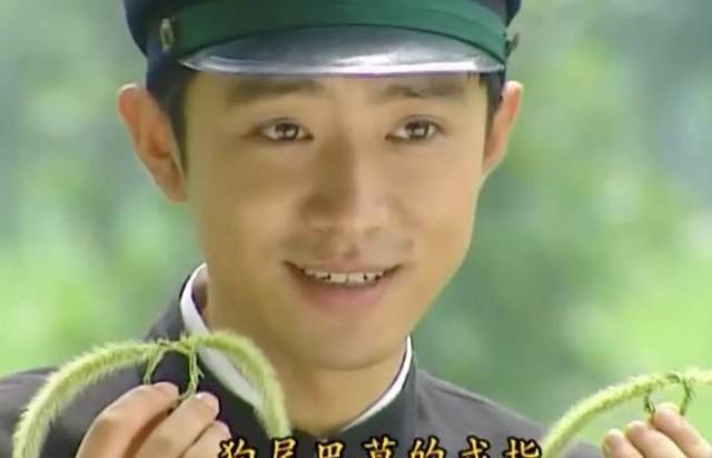 那天,陆振华出门了,尔豪就把陆振华最心爱的宠物放出去了,要是被