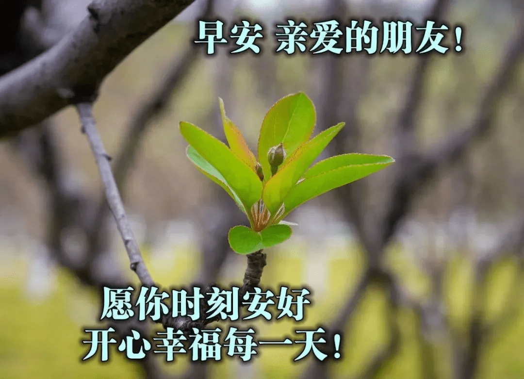 4f4297c4743743ae95c9b532b65ed6f4.png