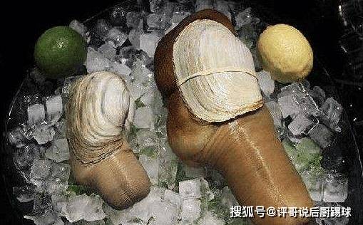 象拔蚌为什么那么贵?原来是这样挖出来的,网友:不愧是高级海鲜!
