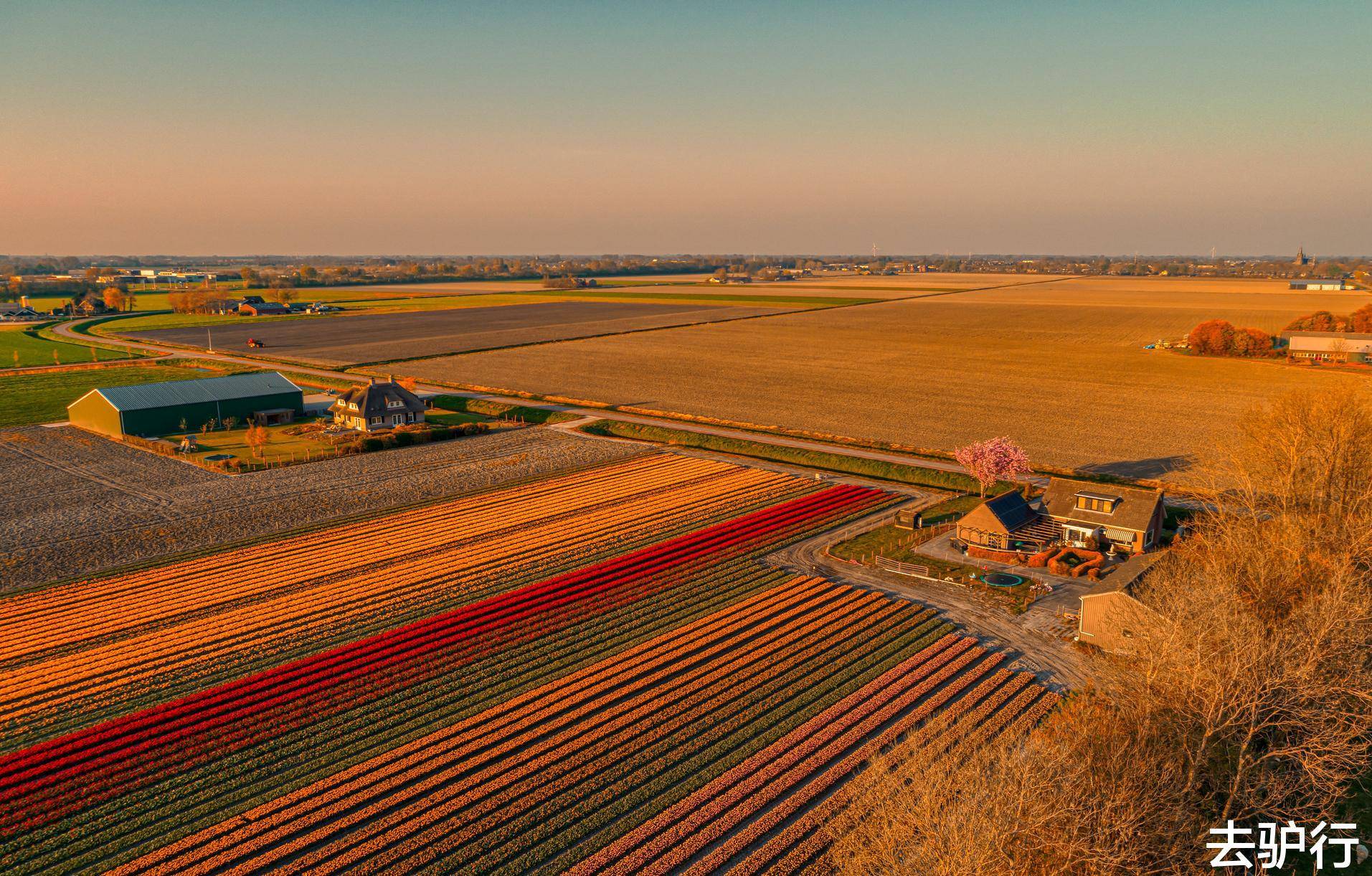 原创靠种地赢得世界尊重的小国农业出口仅次美国未来欲养活全人类