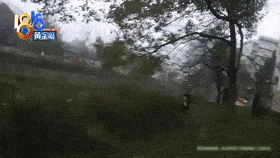 e3a52bda1d1f443999a0852ee4d7efdc.gif