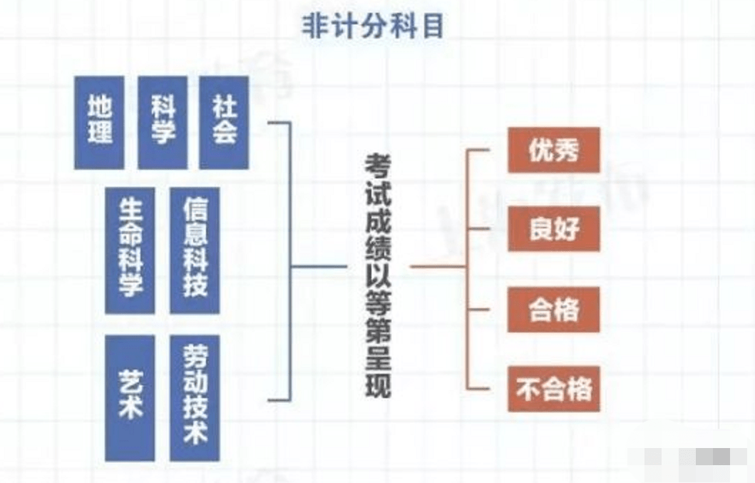 中考改革全面来袭，这5类学生更容易脱颖而出 