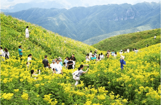 资源又一个赏花打卡好去处,你去了吗?