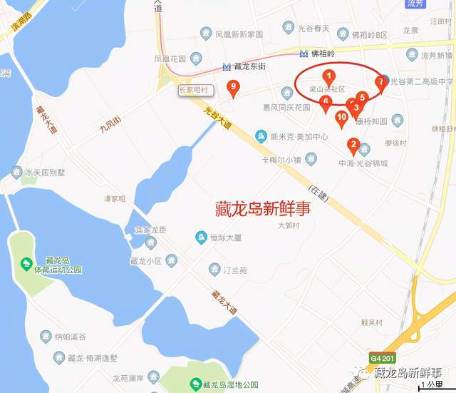 藏龙岛人口_藏龙岛生存指南,未来2号线南延线开进这里