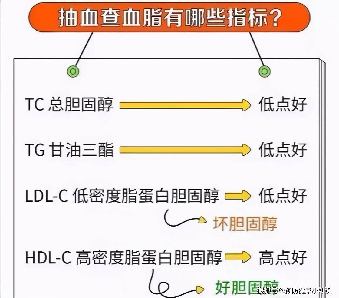 什么是高胆固醇