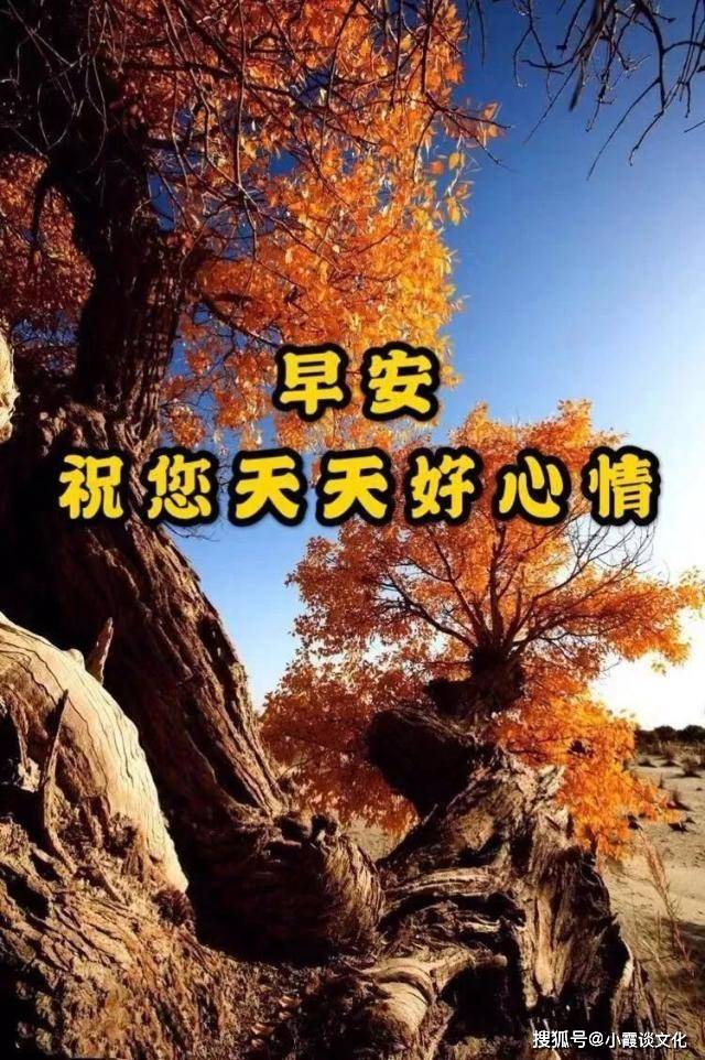 最新版秋天早上好祝福语图片好看又暖心