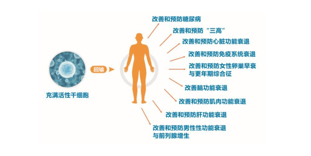 招聘干细胞_中国干细胞集团 苏州分公司招聘启事(2)