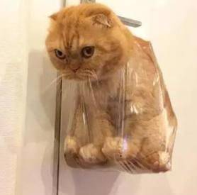 36ba61542f4e42c29e51df84845c0848.jpeg