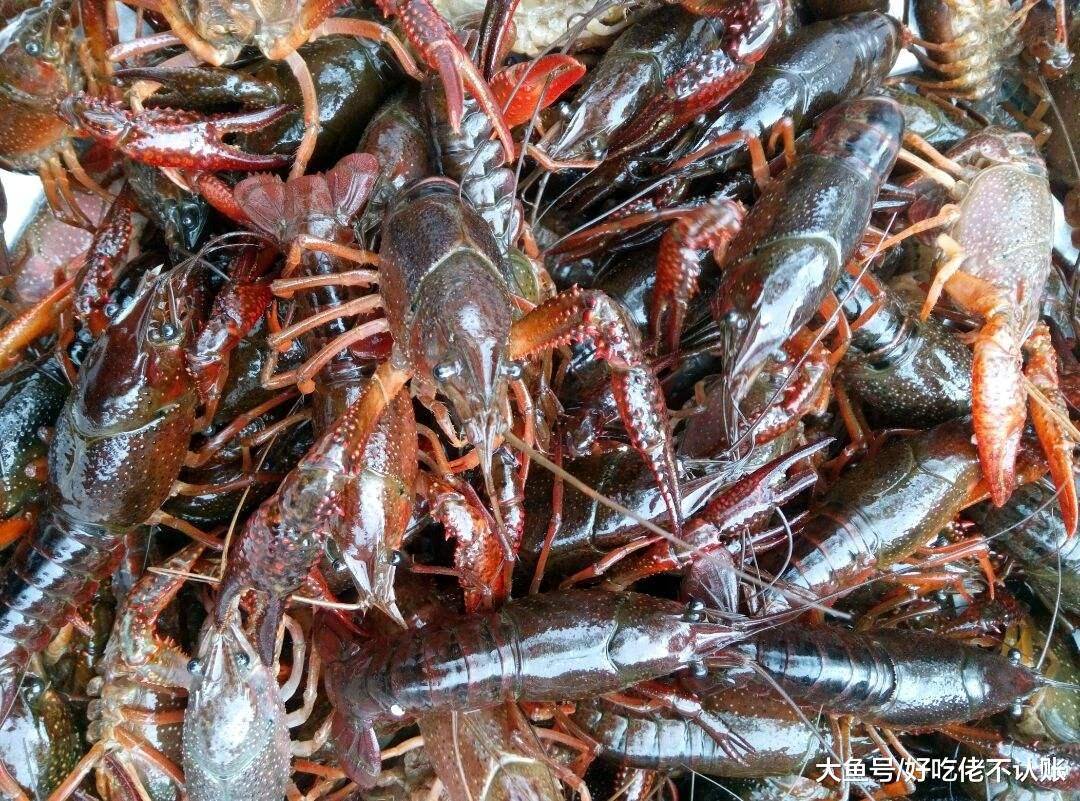 小龙虾去掉虾头更干净,为啥点虾尾的人不多?知道真相的人偏少_美食