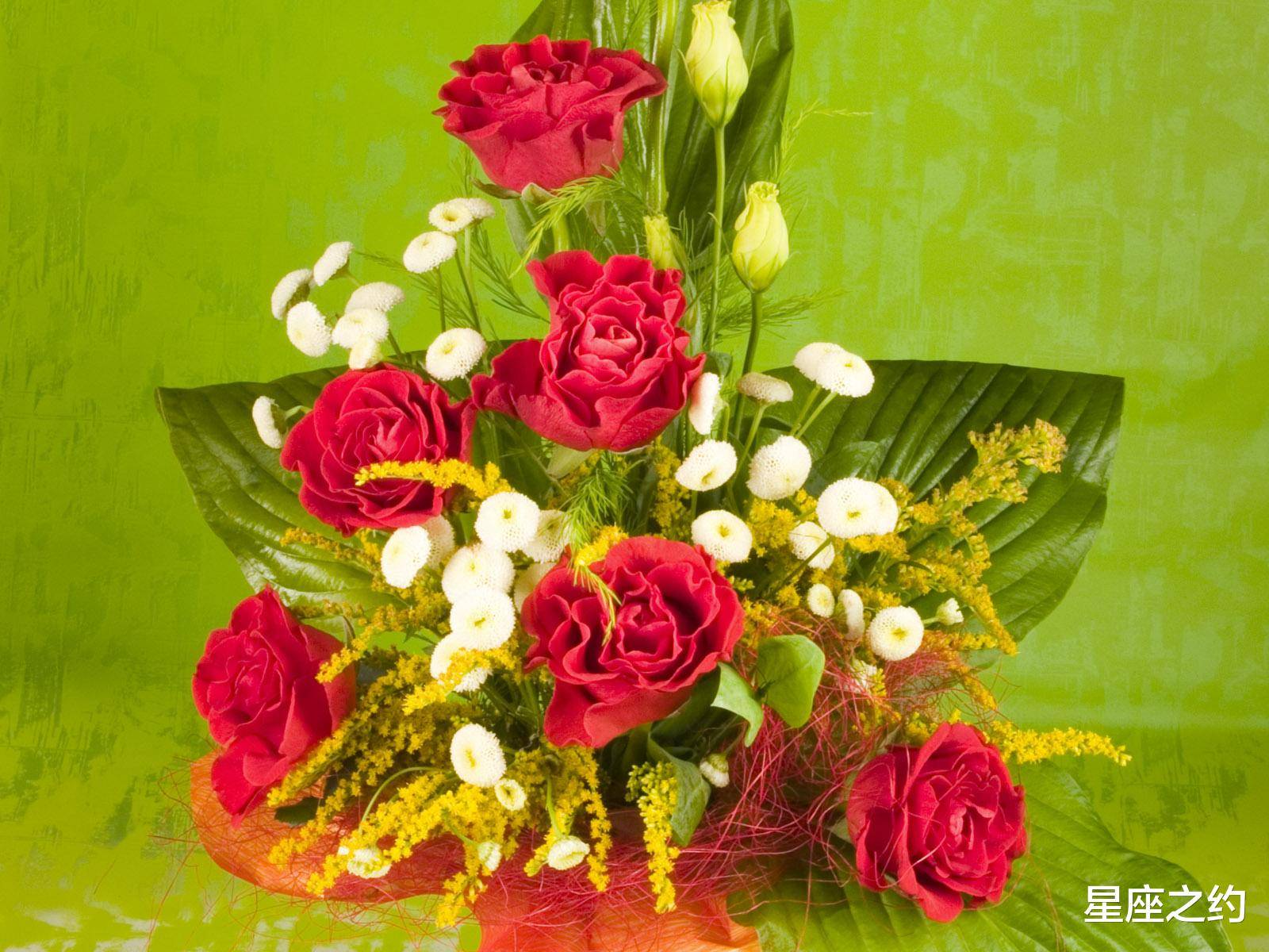 12 27 1 2爱情运势 白羊座头脑清醒 射手座人缘不错 伴侣