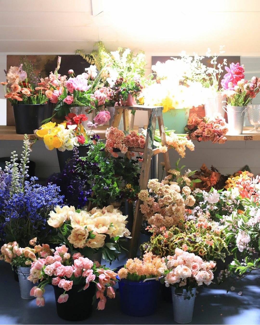 梅雨季到来花店采购应注意什么