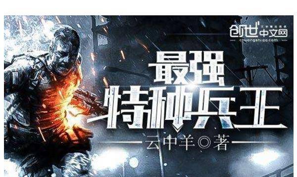 特工排名_百里守约特工魅影图片