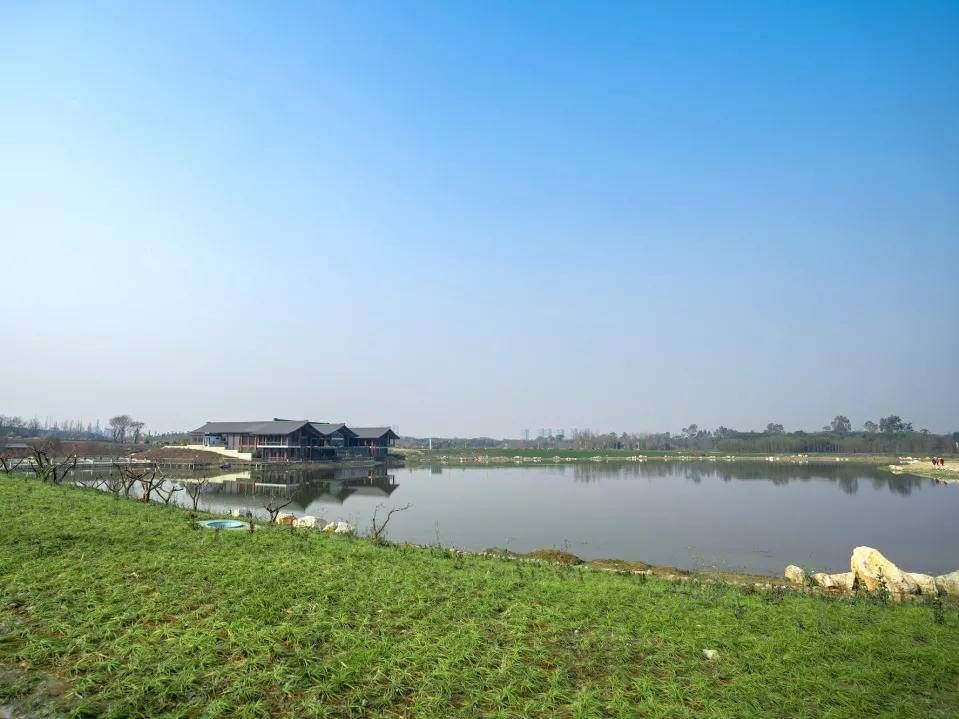 青龙湖湿地公园,图源/青龙湖湿地公园