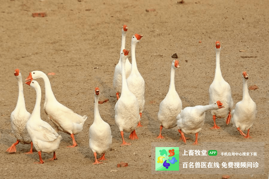 aa637dfb322d4245b91767a7aa21110a.png