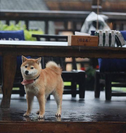 蘑菇屋免费观看全集完整版 ea16708d8e6040f7a6274880a7d599e4.jpeg