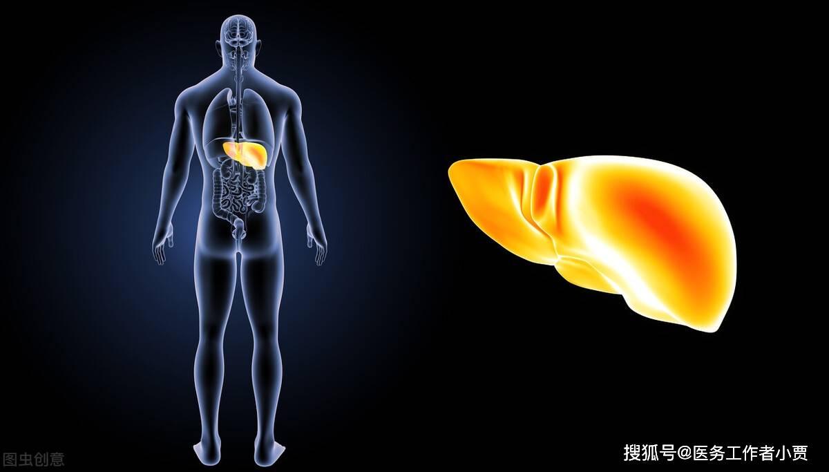 原创原发性肝癌的早期症状和治疗