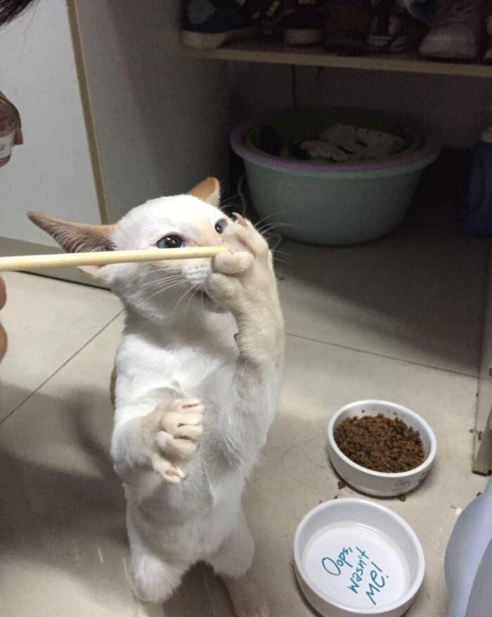 1f3a11b838fe43e7901c8ac6174e92e8.jpeg