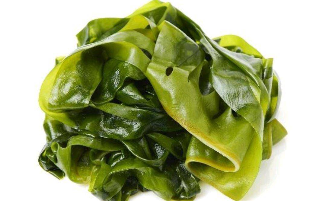 海带不仅是一种含碘量高的海藻，也是一种营养价值高的食物。海带中的碘