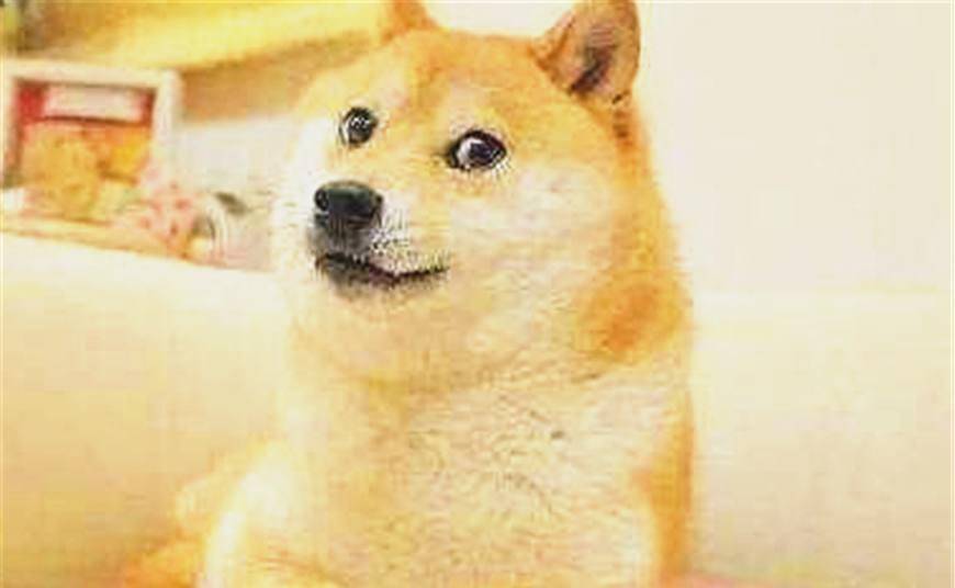 463c14cb3af14360bcbb1cc9ea87d3ec.jpeg