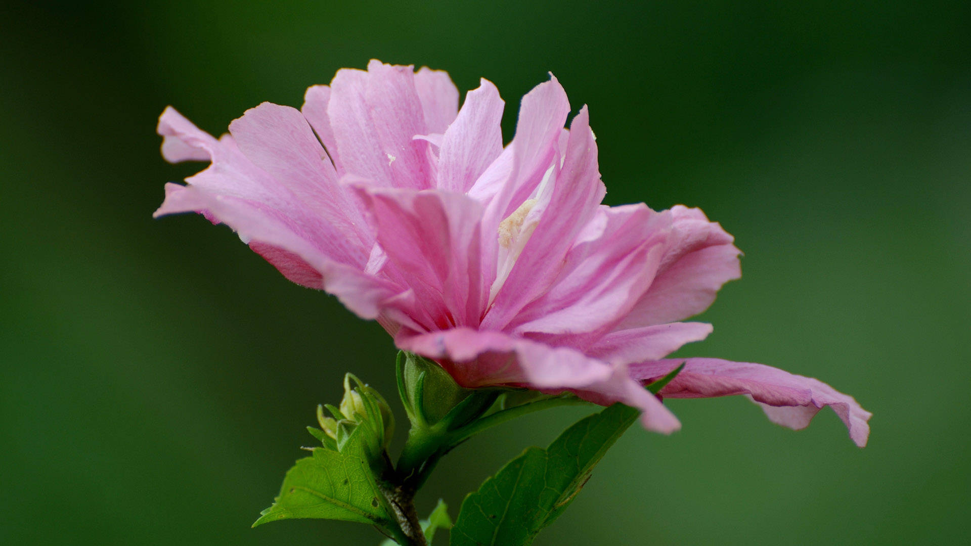 原创只追求内心适合做灵魂伴侣的三大星座