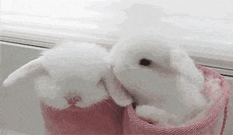 6303b547721447899e77ba277e0aea9c.gif
