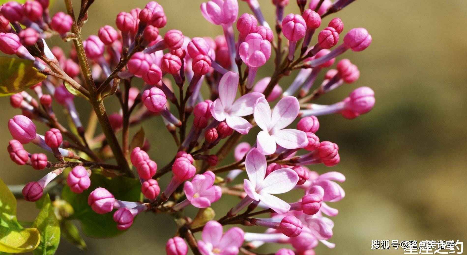 11月1日星座运势 胸有成竹 脱颖而出的四大星座 工作