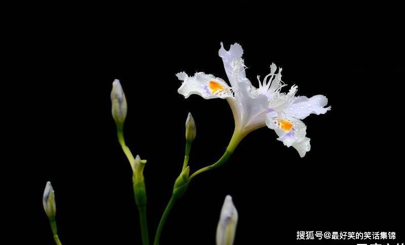 9月19日星座运势苦尽甘来的四大星座 有你吗 对方