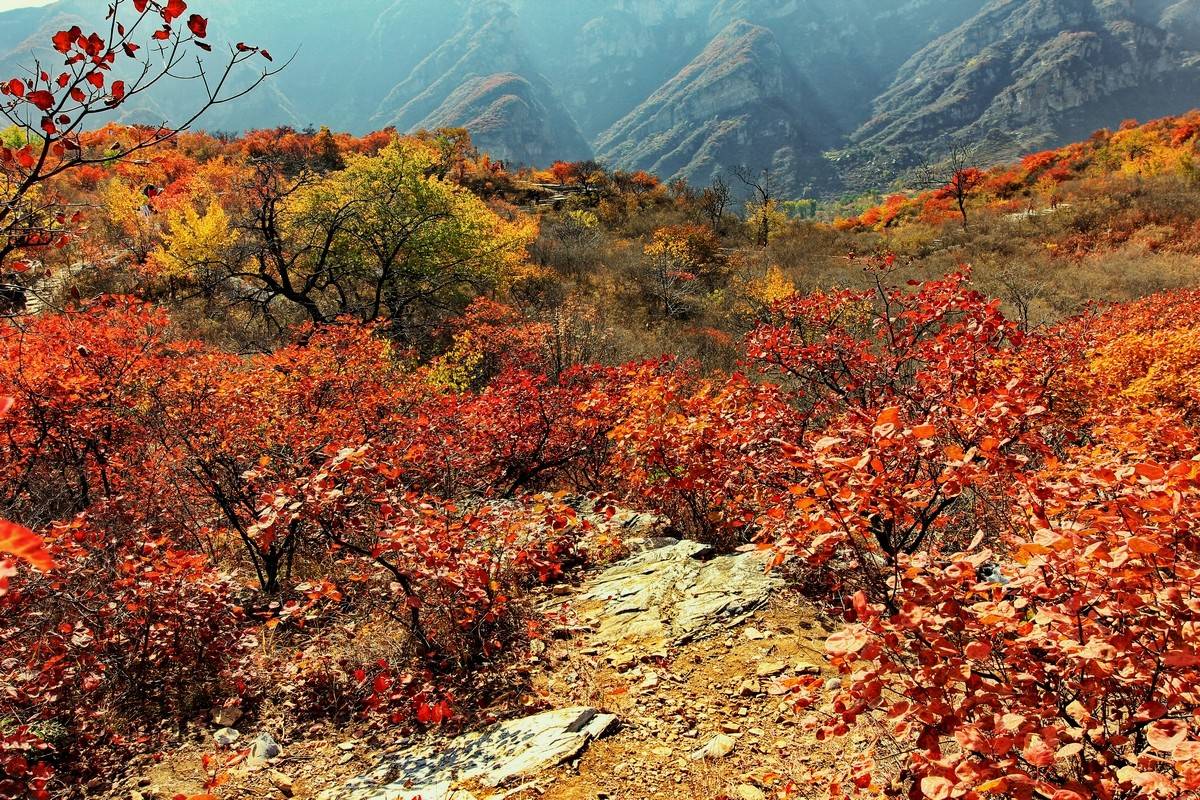 原创北京一座燕山山脉与华北平原结合部的山有东西两座主峰