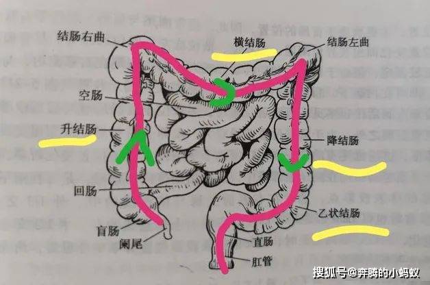 2020歐洲盃時間