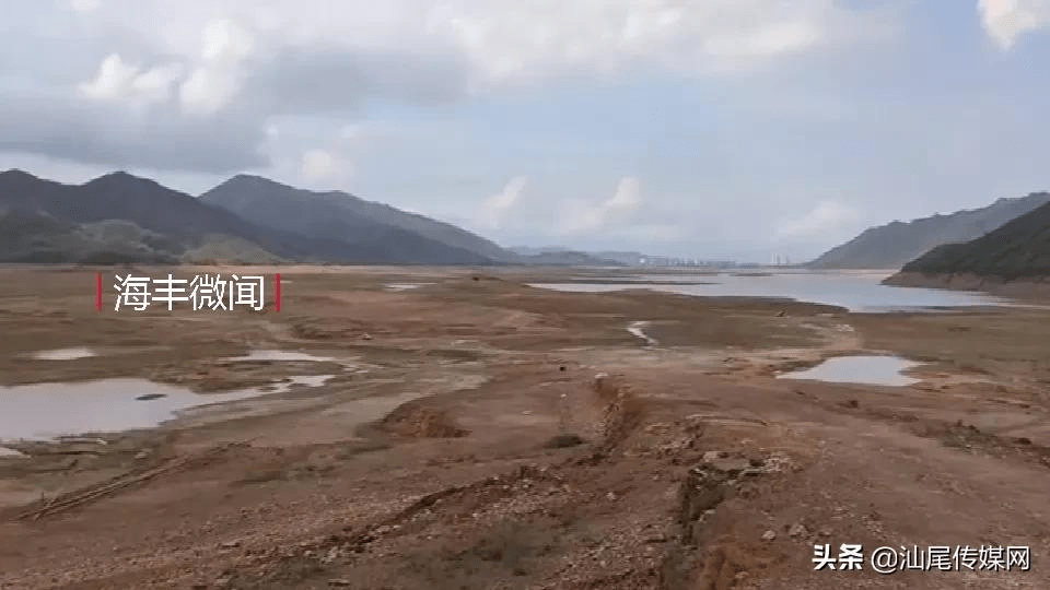 海丰红花地水库,青年水库这幅景,实在令人忧