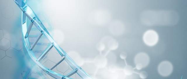 观点评论|生物与AI的双螺旋，正在被百度刻进DNA