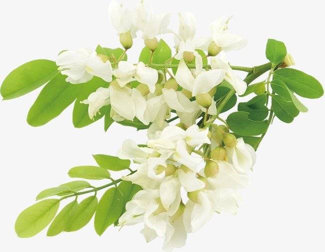 加入适量|4道养生粥,轻松解决银屑病的饮食禁忌