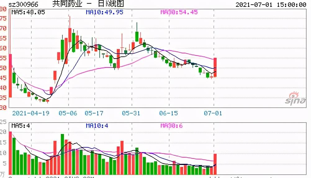 共同药业(300966)