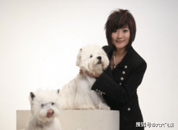 出道即巅峰, 金海心的现状是同时代歌手的缩影