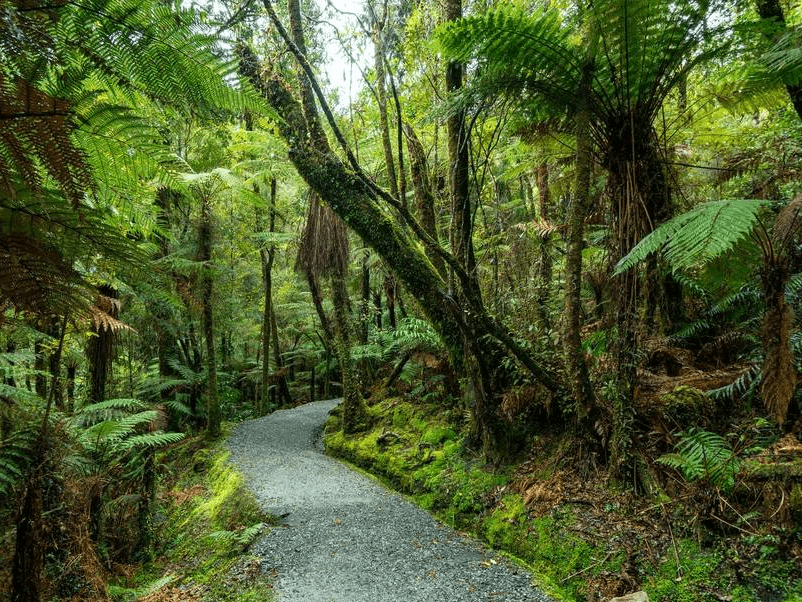 新西兰福克斯冰川附近小镇 风景美如画卷