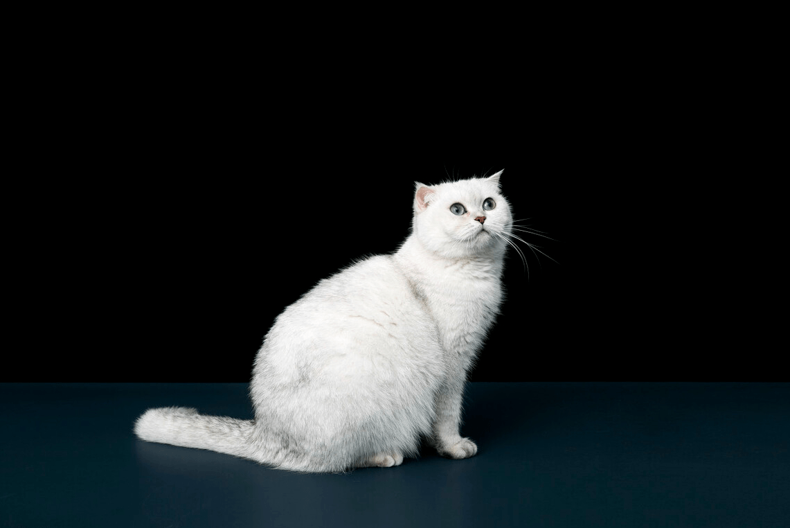 eb119da463474167a8076f5dc27b3105.png