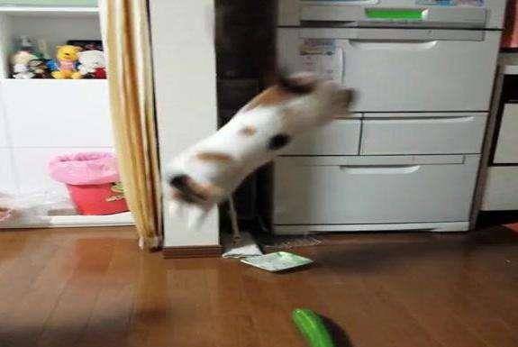 344d5f3e4187417399809be51197fae8.jpeg
