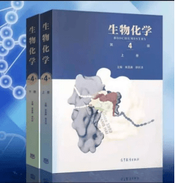 文章配图-3
