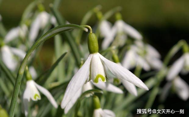 6月25日星座运势 白羊明确目标 狮子激发潜质 摩羯冲破束缚 问题