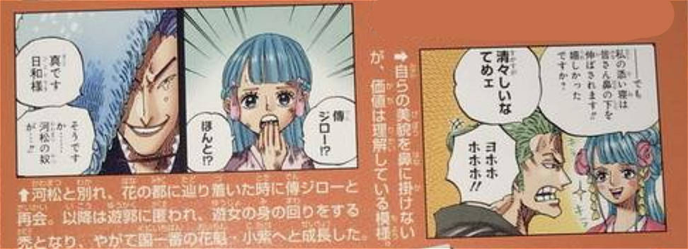 海贼王情报尾田公布日和的人设图这才是真正的绝世美女