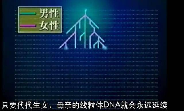 天海佑希|天海佑希做DNA溯源在西藏找到失散3万年的姐妹，别说俩人还真有点像…