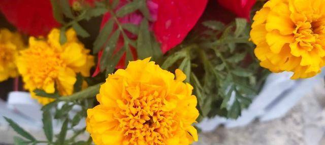 仇大如|让100000人头疼的婆媳关系，记住3条帮你搞定……