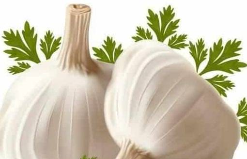 蒜头的功效可以降血糖吗 1adef026d88e404d8865ae9e0bcacbed.jpeg