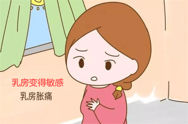 431b129c8b5f4a9f88d4a9296daa87ce.png