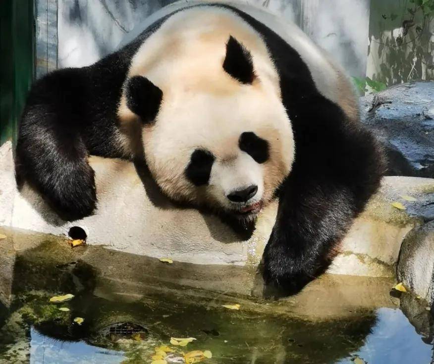 in|『缤纷夏日 七彩童年』吉利汽车无锡同元员工亲子拓展 in 南京！