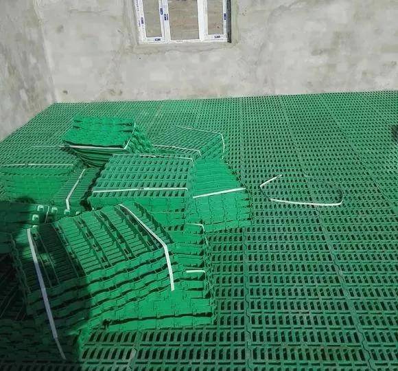 这样的羊床真方便,半天功夫整个羊场就铺完了!