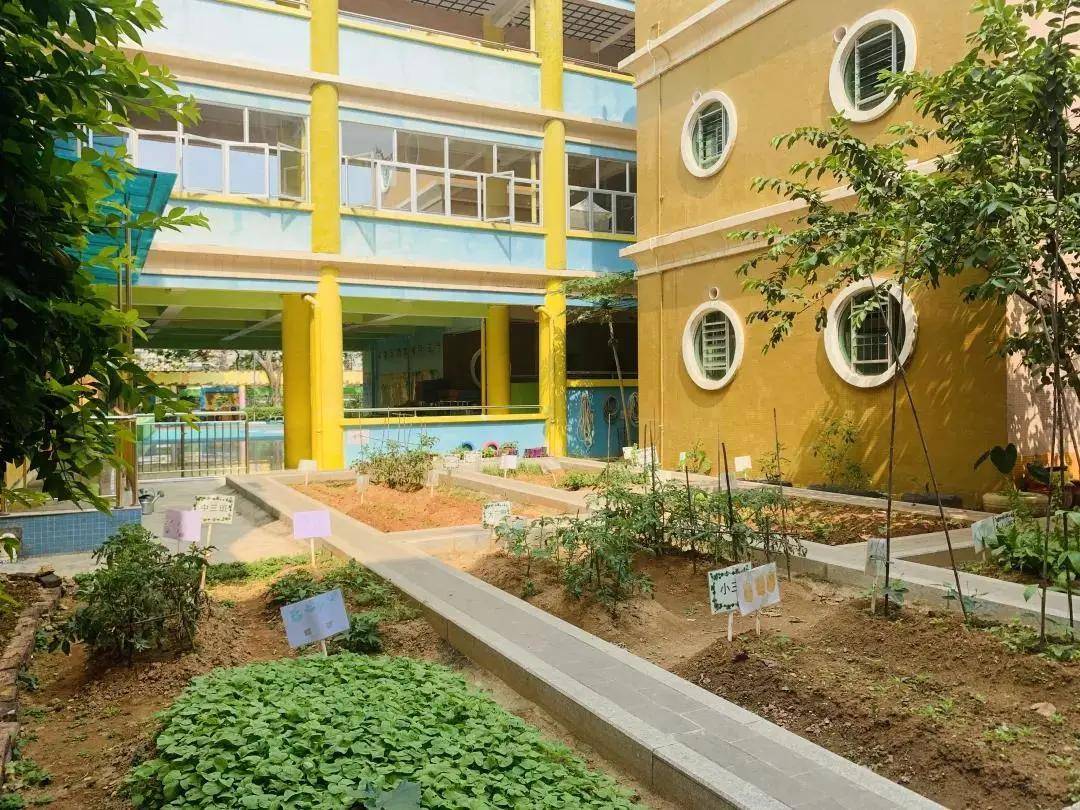 南村|好消息！南村这所幼儿园要扩建