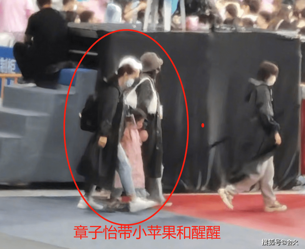 章子怡带孩子看汪峰演出!一旁继女身高惊人