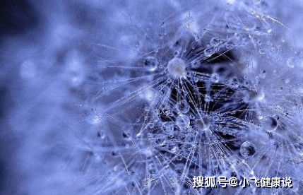 fa2cd78a55ec4484a5605fa67b297848.png
