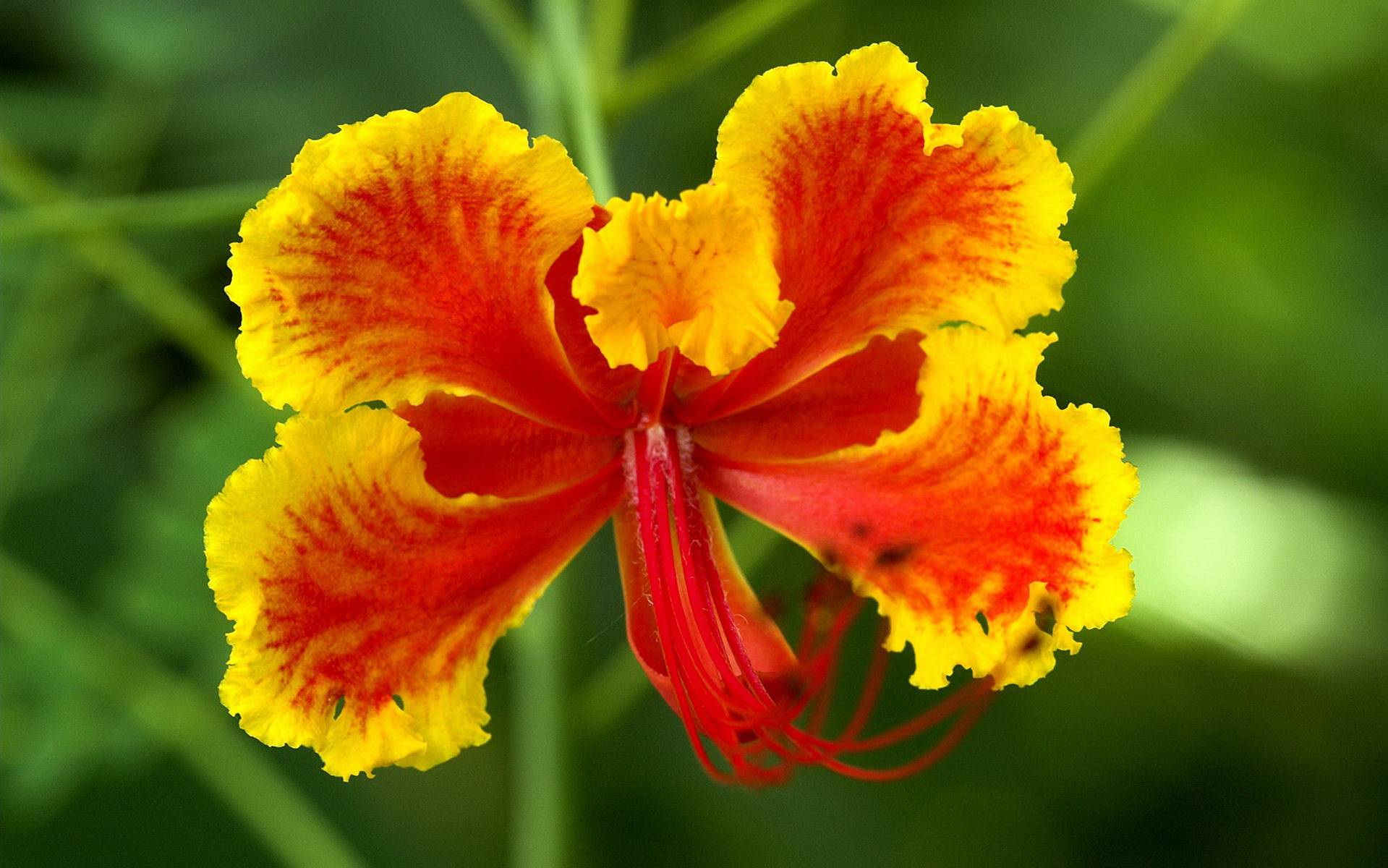 7月6日星座运势 明确目标 奋力向前的四大星座 事情